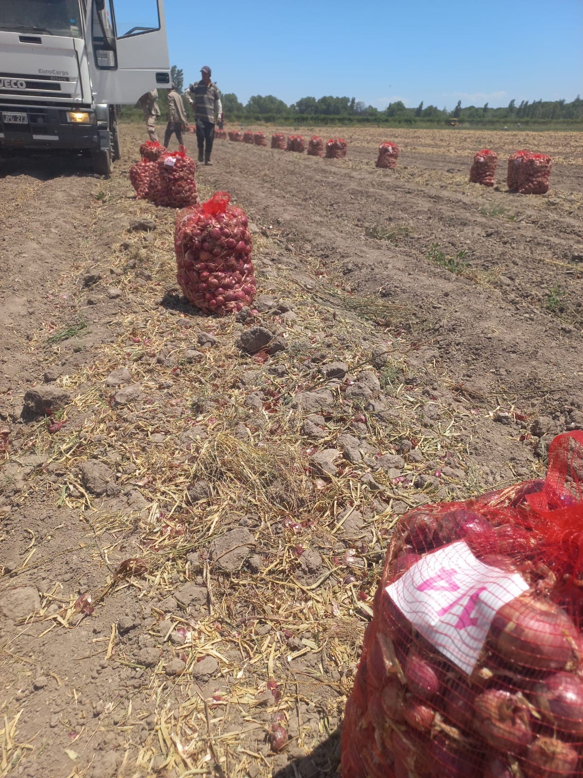 Producción de Alimentos
